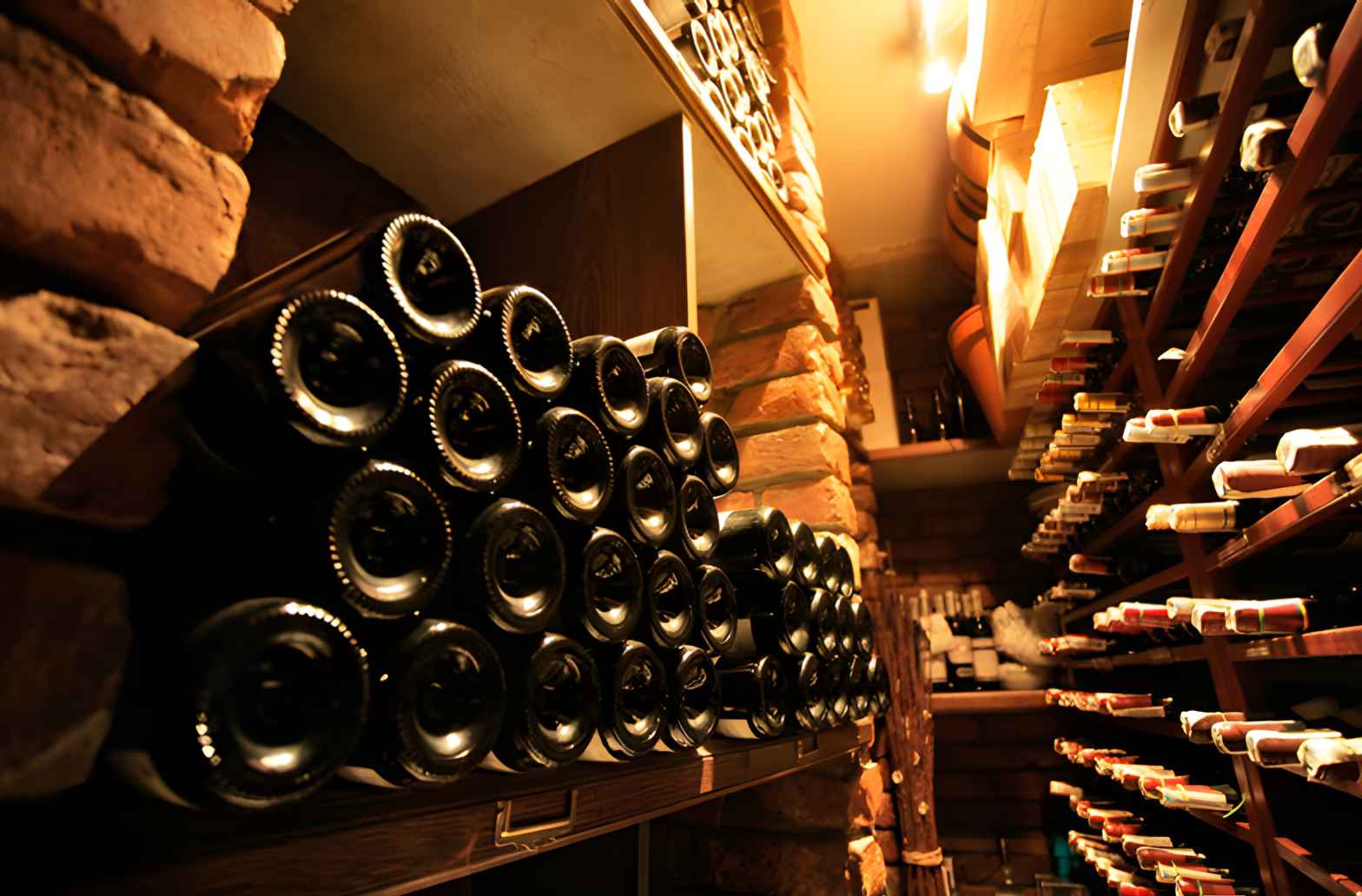 How to Start Collecting Wines?