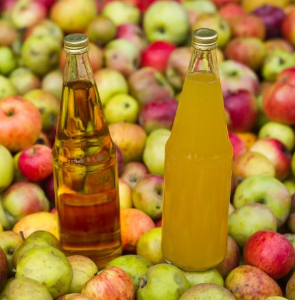 What's the Difference Between Apple Wine and Apple Cider? – Brewsy