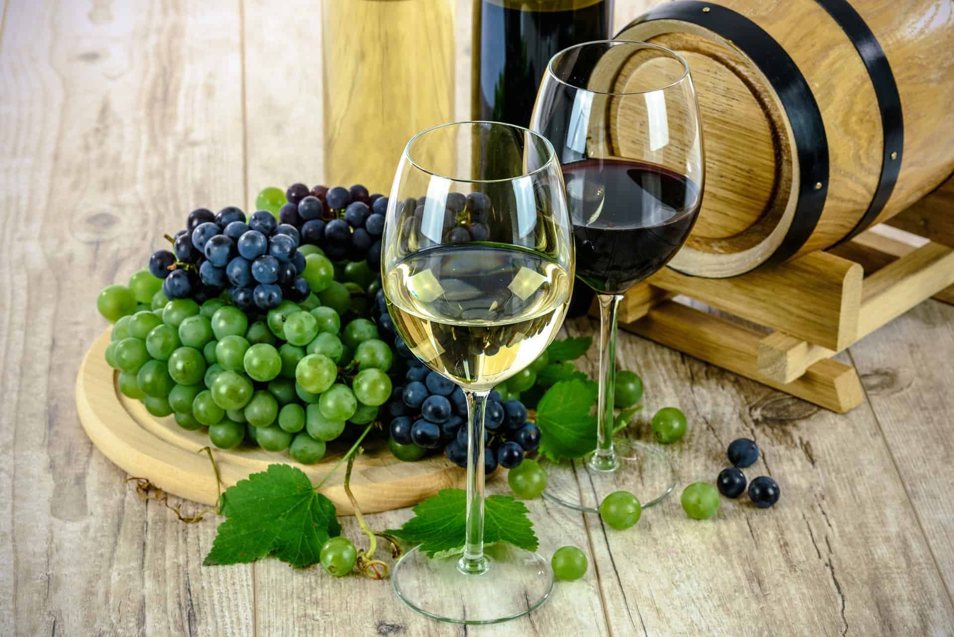 What Are the Different Types of Grapes for Winemaking? – Brewsy