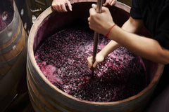 How to Stop Wine Fermentation?