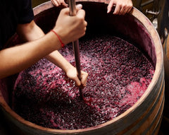 How Does Wine Fermentation Work